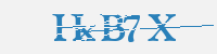 보안문자